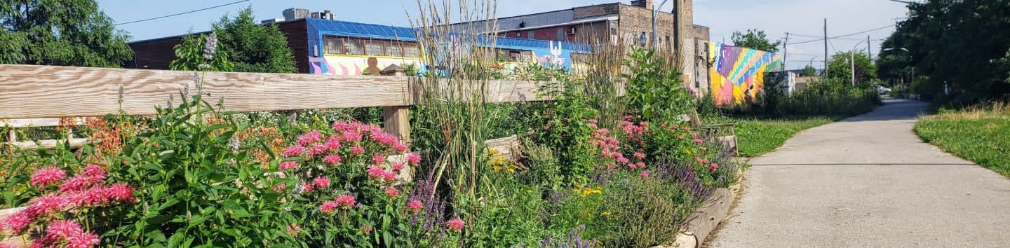 El Paseo Community Garden