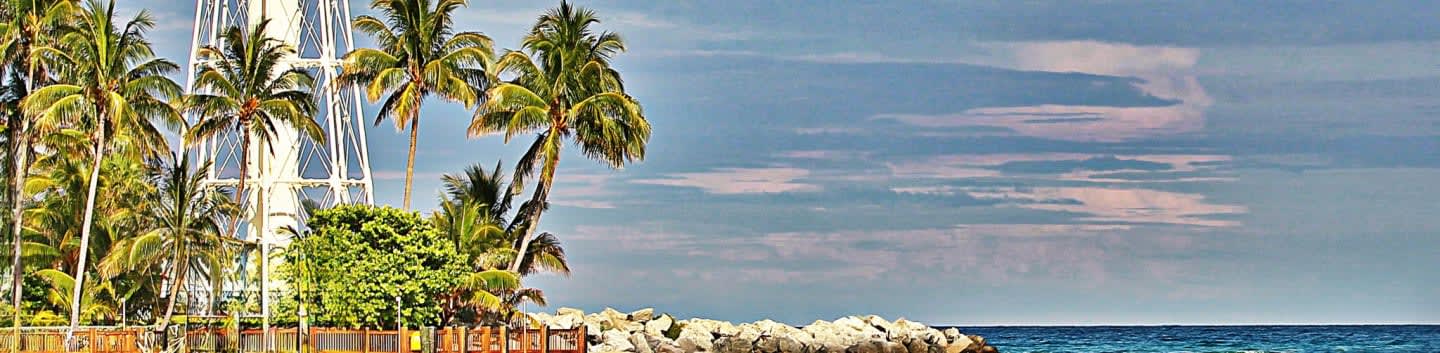 Garden Club Of Lighthouse Point Inc