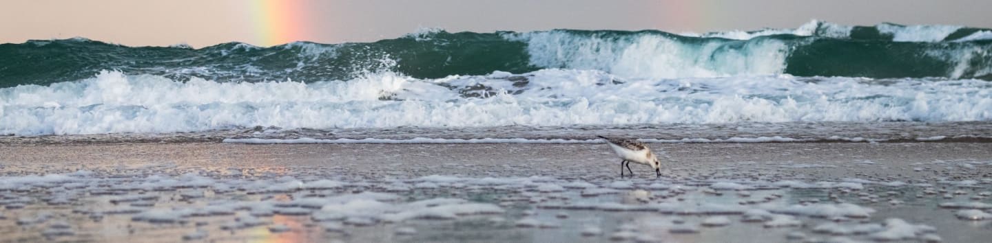 Conserve The Point - Topsail Inc