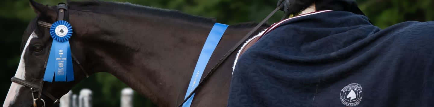 A dark horse with a blue ribbon is being ridden by a person wearing a dark blanket in a wooded area.