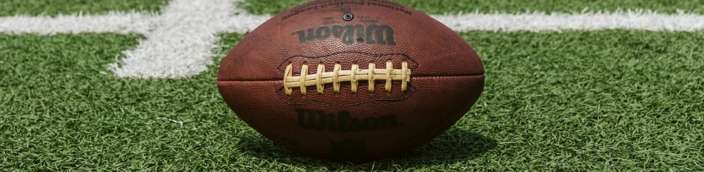 brown and black Wilson football