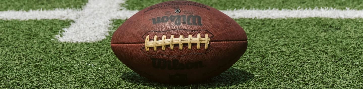 brown and black Wilson football