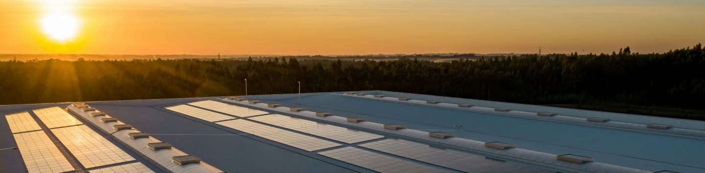 The Kind Sun Initiative