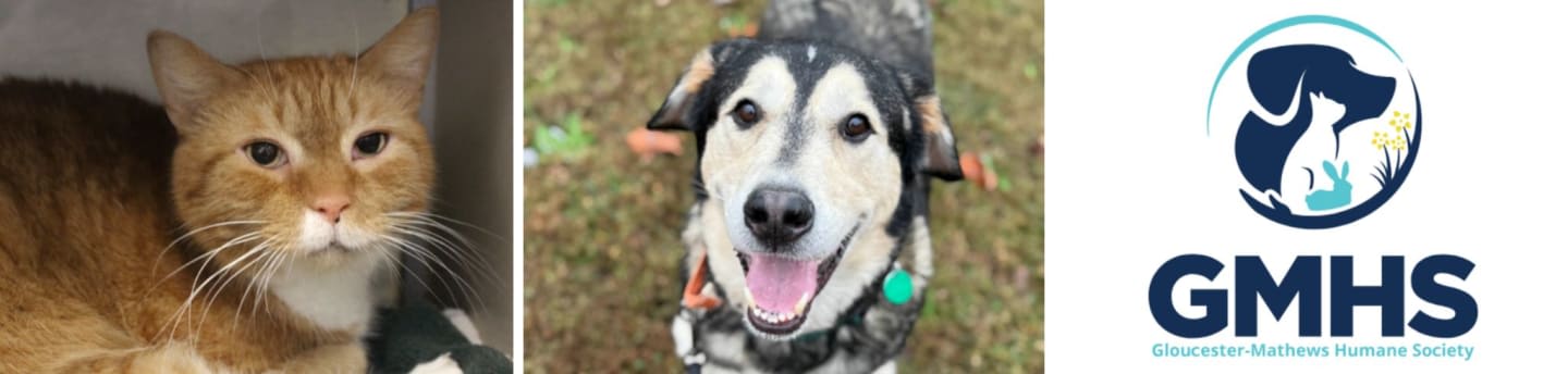 Gloucester-Mathews Humane Society