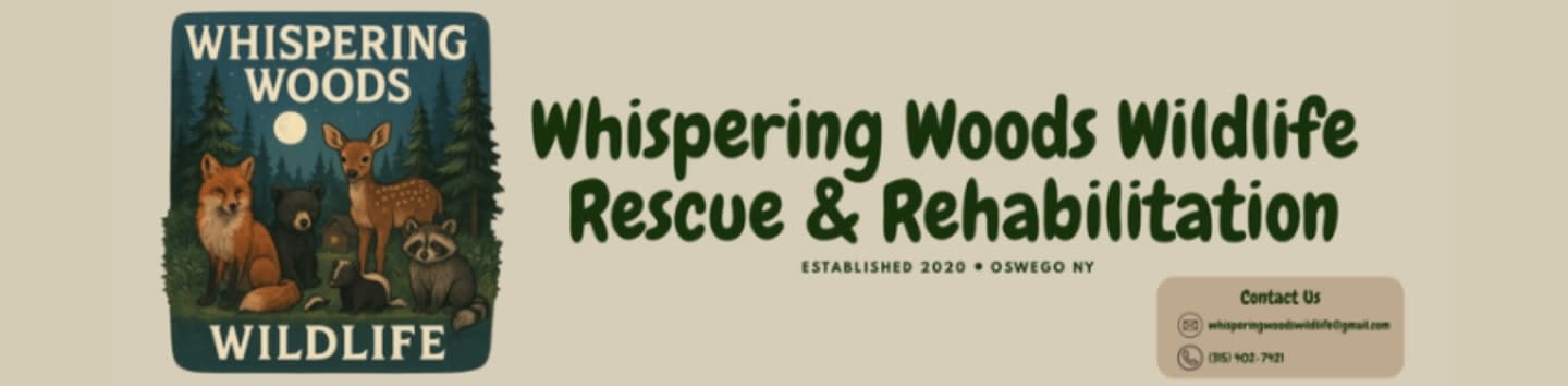 Whispering Woods Wildlife Rescue And Rehabilitation Inc