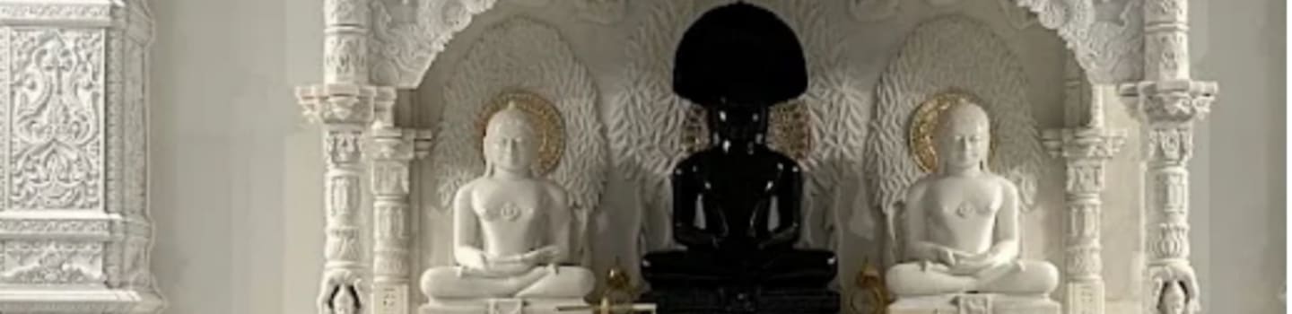 International Digamber Jain Organization