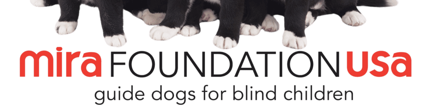 Four black and white puppies wearing red bandanas sit in the foreground against a white background with the Mira Foundation USA logo.