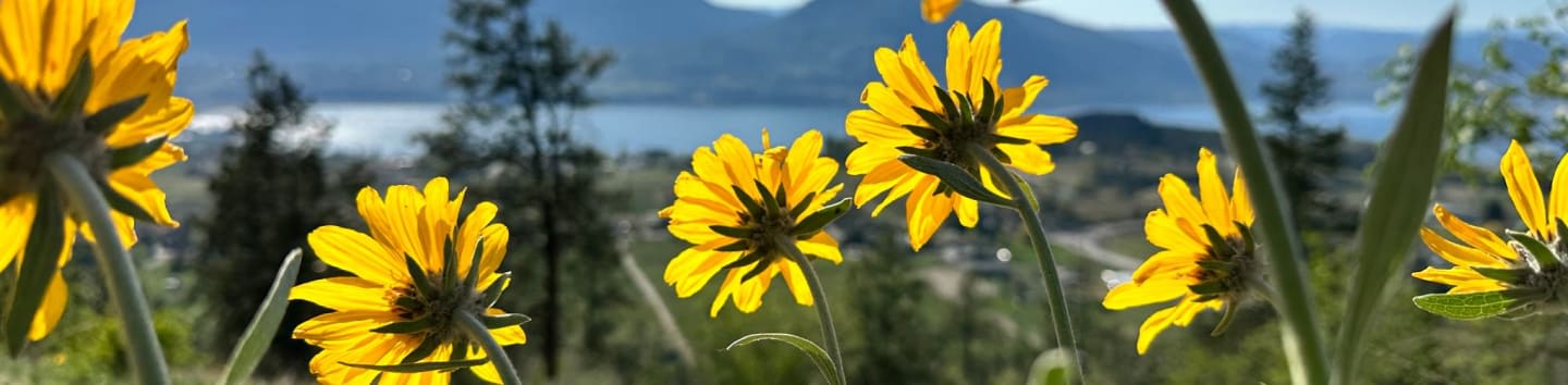 Okanagan Similkameen Stewardship