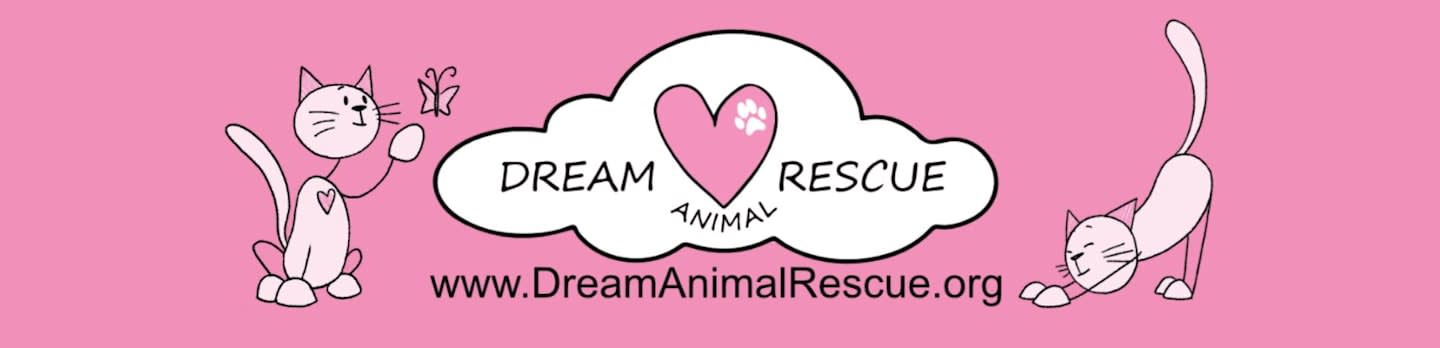 Two cartoon cats flank a cloud-shaped logo for "Dream Animal Rescue" against a solid pink background.