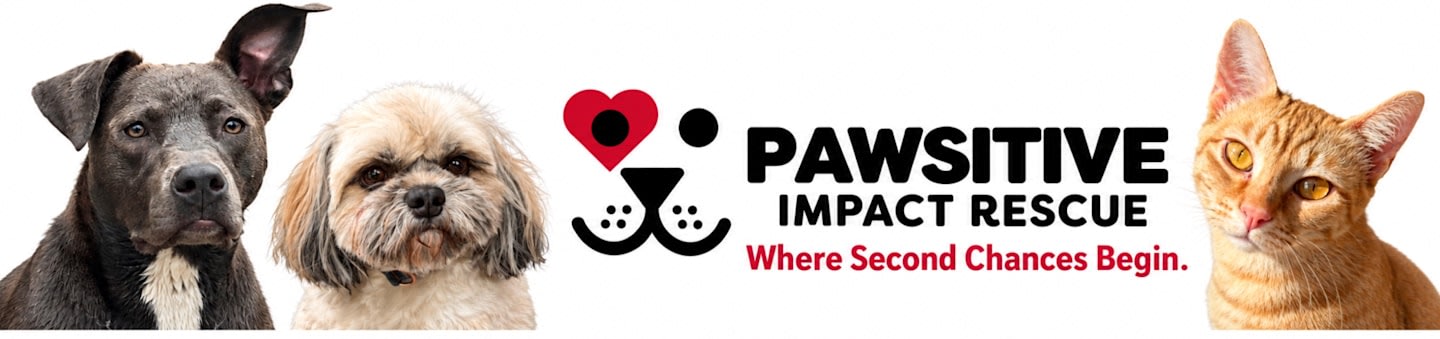Pawsitive Impact Rescue Inc