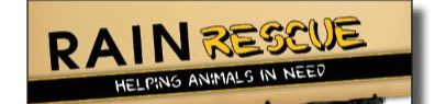 A cat peeks out from behind a torn opening in a golden banner that reads "RAIN RESCUE HELPING ANIMALS IN NEED" with contact information below.
