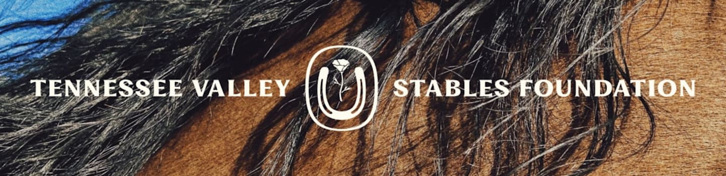 White text and a horseshoe logo are overlaid on a close-up background of a brown horse's mane.