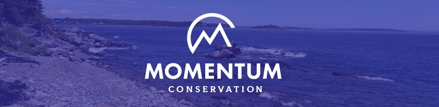 Momentum Conservation