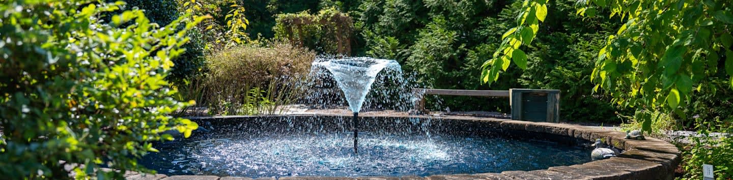 A water fountain sprays upward in a circular stone basin, surrounded by lush green foliage and trees.