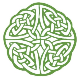 N-400 Application (PAPER) item