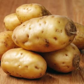 Platinum Sponsor item