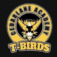 ELEMENTARY T-shirt - ADULT LARGE item