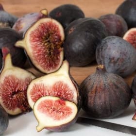 Figuier 'Chicago Hardy' en pot de 2 gallons item