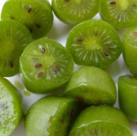 Kiwi autofécond 'Issai' en pot de 2 gallons item