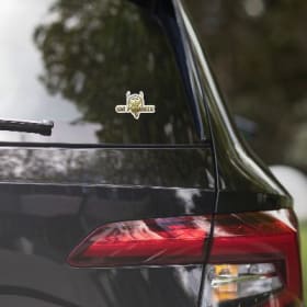 Sticker Phoenix 4x4 item