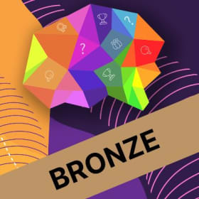 Bronze Corporate Sponsorship item