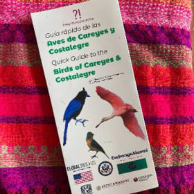 Guía Rápida de Naturaleza item