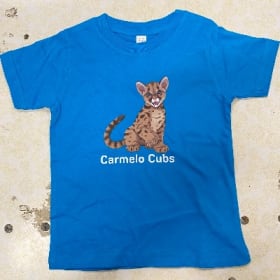 3T - Aqua Blue Kids T-Shirt item