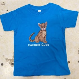 5/6 - Aqua Blue Kids T-Shirt item