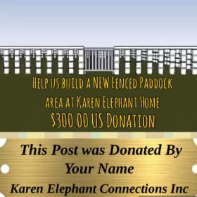 New Fenced Paddock Personalized Post item