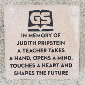 Add the GS Logo to your brick item