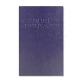 [AA] Big Book, Large Softcover item