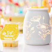 Summer Scent Sampler item