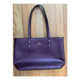 Coach Bag - Purple (50 tickets) item