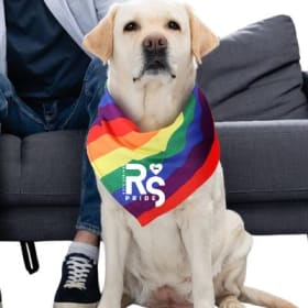 Rainbow Dog Bandanas item