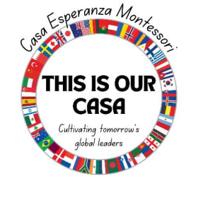 Casa Flags T-shirt item