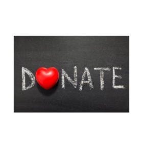 Donation towards the 1,500 pre-order goal. item