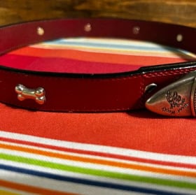 XL leather dog collar, 1" wide (brown, dog bones) item