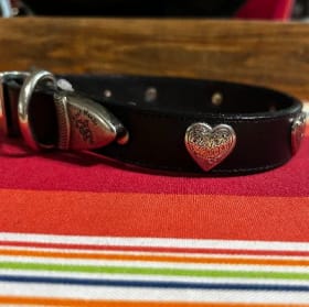 Small leather dog collar, 1" wide (black, hearts) item