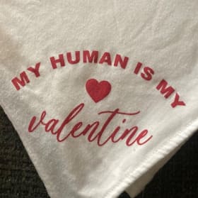 Dog Bandana gently used size XL item