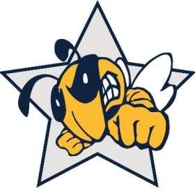 Platinum Level Sponsor item