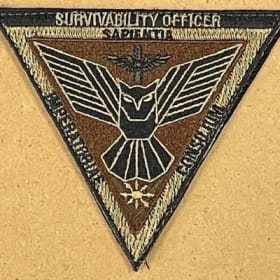 AMSO Embroidered Patch, Subdued item