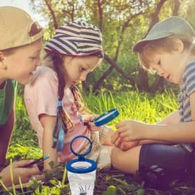 Kit exploration nature item