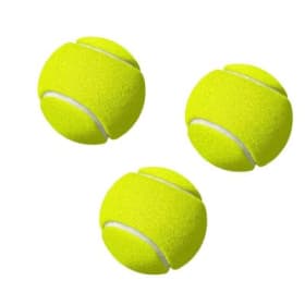 Dunk Tank - 3 Balls item