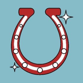 Raffle Prize Sponsor item