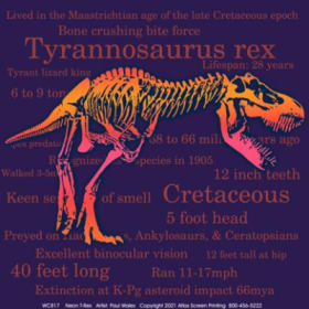 Adult T-Shirt - Neon T-Rex item
