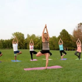 Cours de yoga en plein air item