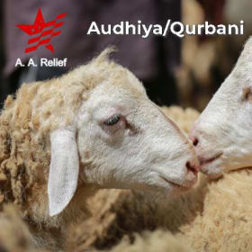 Sheep/Calf Shar item