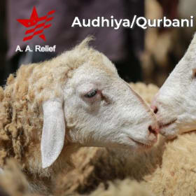 Sheep/Calf Shar item