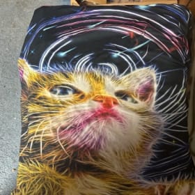 Electric cat XL Polyester SHIRT item