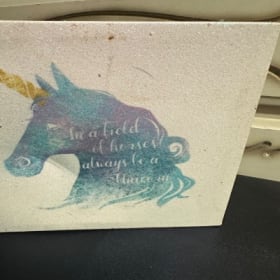 Unicorn painting item